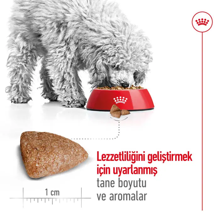 Royal Canin Mini Indoor Adult Yetişkin Köpek Maması 1,5 Kg
