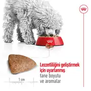 Royal Canin Mini Indoor Adult Yetişkin Köpek Maması 1,5 Kg 7