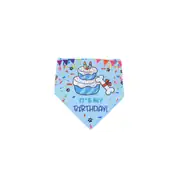 M-PETS Party Time Erkek Köpekler İçin Doğum Günü Seti 5