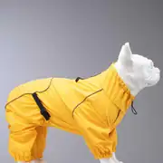 Lindo Quattro Vega Köpek Yağmurluğu 2