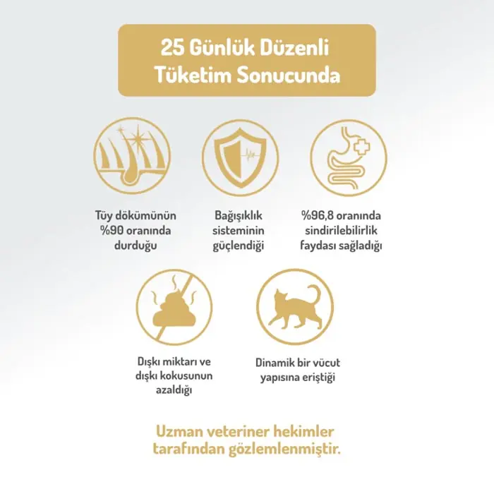 Felicia Az Tahıllı Yavru Tavuklu HypoAllergenic Kedi Maması 2 Kg