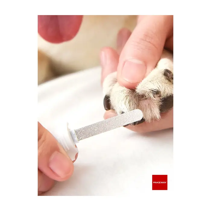 Pakeway TT Serisi Led Lambalı Köpek Tırnak Makası Turkuaz Büyük Boy