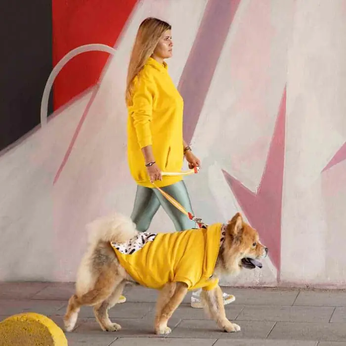 Lindo Freedom Köpek Sweatshirt