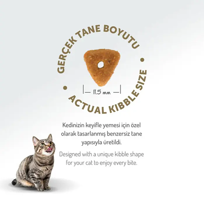 Felicia Kolajenli Somonlu Az Tahıllı Kısırlaştırılmış Hypoallergenic Kedi Maması 5 Kg