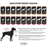 Lindo College AllStar Küçük, Orta ve Büyük Irk Köpek Sweatshirt 4