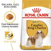 Royal Canin Cavalier King Charles Köpek Maması 3 Kg 7