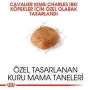 Royal Canin Cavalier King Charles Köpek Maması 3 Kg 2