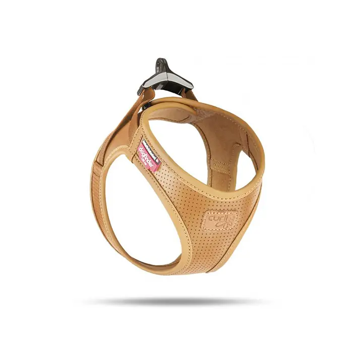 Curli Apple Leather Elma Liflerinden Yapılmış Bitkisel Deri Köpek Tasması Kahverengi 2XSmall