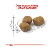 Royal Canin Indoor Sadece Evde Yaşayan Yetişkin Kuru Kedi Maması +7 1,5 Kg 2