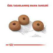 Royal Canin Ccn Mini Light Weightcare Yetişkin Köpek Maması 3 Kg 2