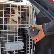 Ferplast Atlas 50 Professional Köpek Taşıma Kafesi 8