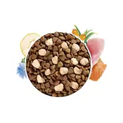 Brit Care Haircare Raw Delights Somonlu ve Hindi Etli Tahılsız Yetişkin Kedi Maması 2kg 2