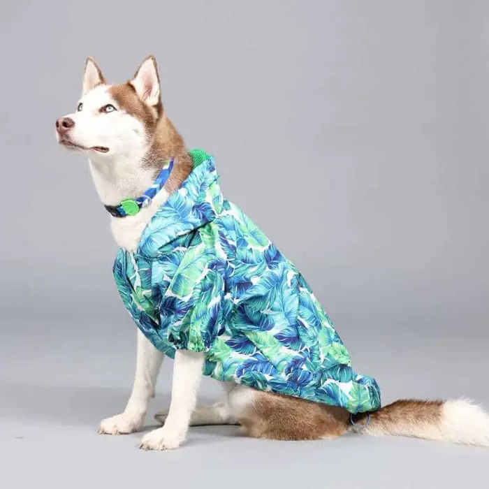Lindo Aqua Kapüşonlu Su Geçirmez Köpek Yağmurluğu