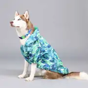 Lindo Aqua Kapüşonlu Su Geçirmez Köpek Yağmurluğu 3