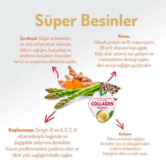 Felicia Az Tahıllı Yetişkin Somonlu Medium Large Breed HypoAllergenic Köpek Maması 15 Kg