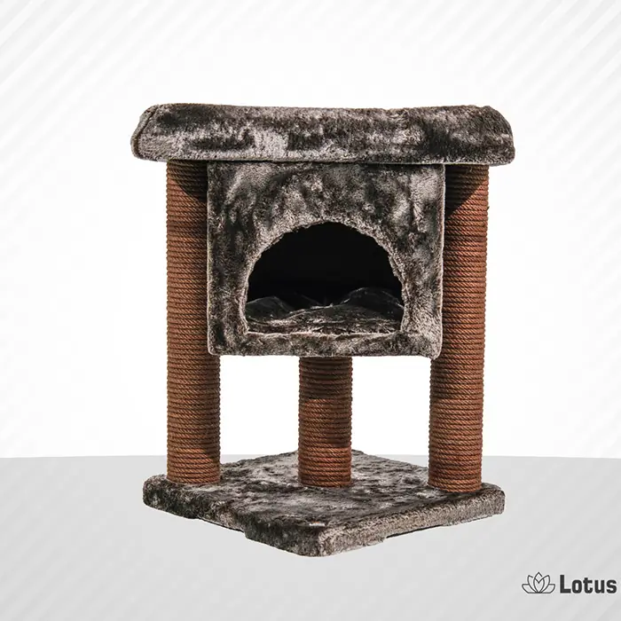 Lotus İzmir Kahverengi Kedi Tırmalama