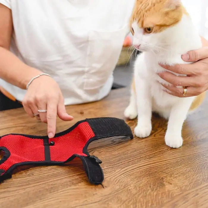 Ferplast Jogging Gezdirme Set Göğüs Tasması X Large