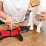 Ferplast Jogging Gezdirme Set Göğüs Tasması X Large 4