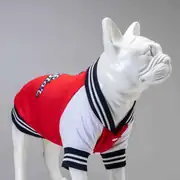 Lindo College AllStar Küçük, Orta ve Büyük Irk Köpek Sweatshirt 1