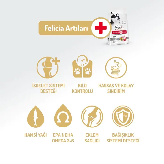Felicia Az Tahıllı Yetişkin Kuzulu Medium Large Breed HypoAllergenic Köpek Maması 3 Kg