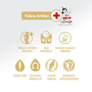 Felicia Az Tahıllı Yetişkin Kuzulu Medium Large Breed HypoAllergenic Köpek Maması 3 Kg 3