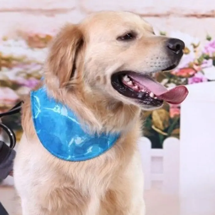 AFP Chill Out - Soğutucu Köpek Bandana Large 44-52cm