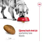 Royal Canin Maxi Adult Yetişkin Köpek Maması 15 Kg 6