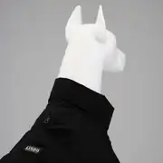 Lindo Trenchkot Black Su Geçirmez Köpek Yağmurluğu 3