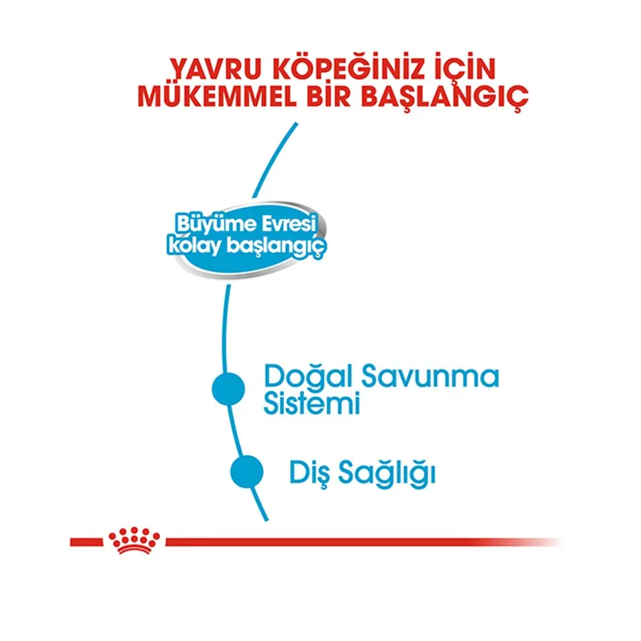 Royal Canin Starter Mousse Anne ve Yavruları İçin Köpek Konservesi 195 Gr