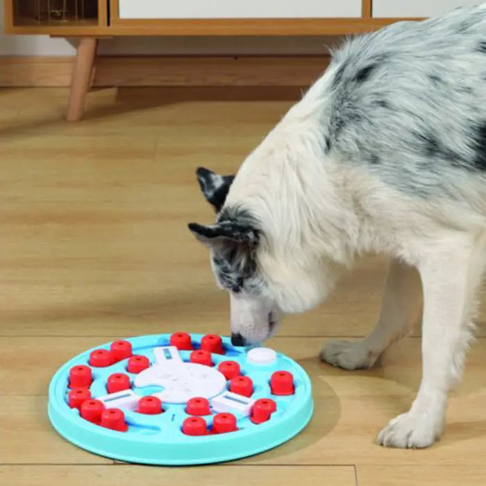 M-PETS Brainy Da Vinci Puzzle Köpek Zeka Oyuncağı 3.Seviye