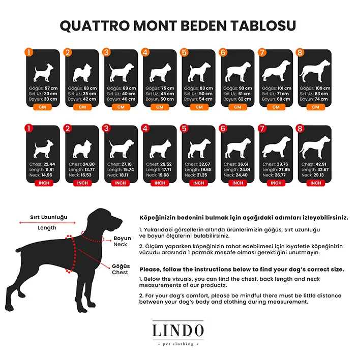 Lindo Quattro Vega Köpek Yağmurluğu
