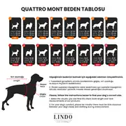 Lindo Quattro Vega Köpek Yağmurluğu 5