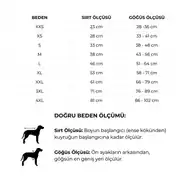 GF Pet Lunar Glow Köpek Montu 4