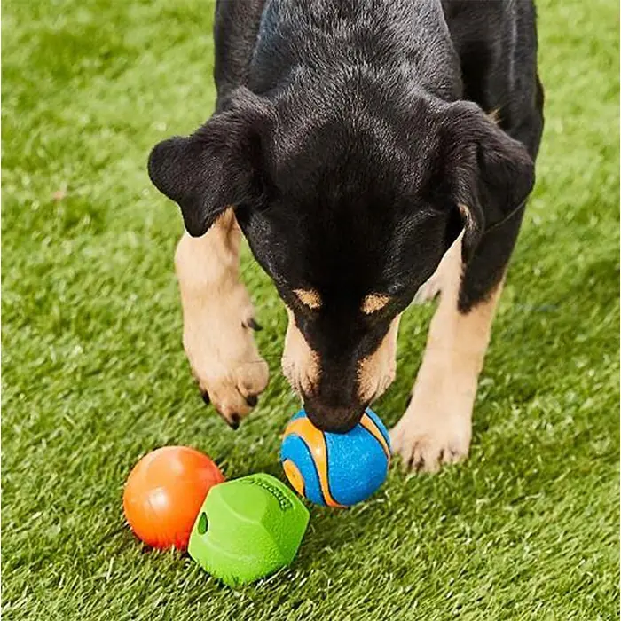 Chuckit!Fetch Medley Gen2 Köpek Oyun Topu 3'lü Orta Boy