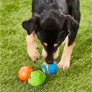 Chuckit!Fetch Medley Gen2 Köpek Oyun Topu 3'lü Orta Boy 4