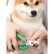 Pakeway Kaktüs Serisi Led Lambalı Köpek Tırnak Makası Yeşil 7