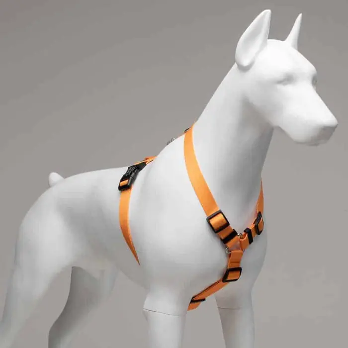 Lindo Royal H Tipi Köpek Göğüs Tasması Large