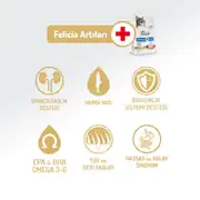 Felicia Az Tahıllı Yetişkin Somonlu HypoAllergenic Kedi Maması 12 Kg 5