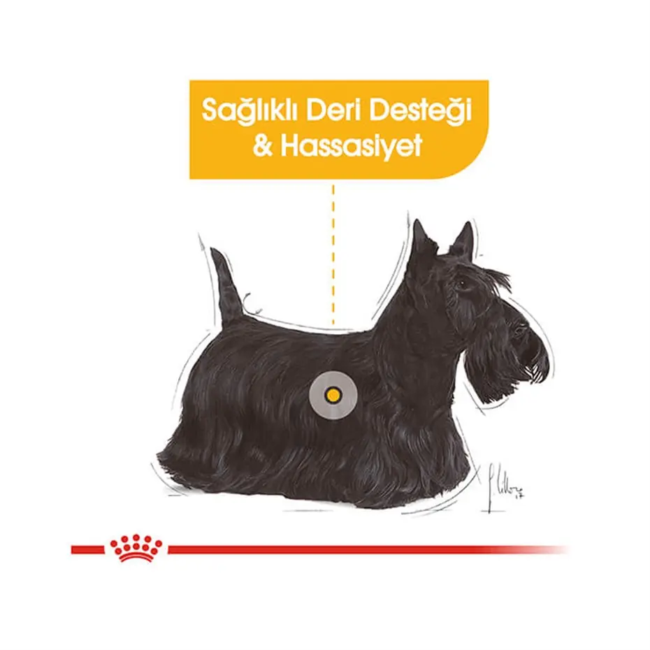 Royal Canin Ccn Mini Derma Yetişkin Köpek Maması 3 Kg