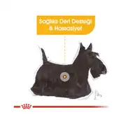 Royal Canin Ccn Mini Derma Yetişkin Köpek Maması 3 Kg 4