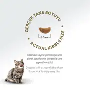 Felicia Az Tahıllı HypoAllergenic Kuzu Etli Yetişkin Kedi Maması 2 Kg 8