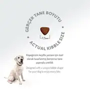 Felicia HypoAllergenic Kuzulu Pirinçli Küçük Irk Düşük Tahıllı Yavru Köpek Maması 6 Kg 7