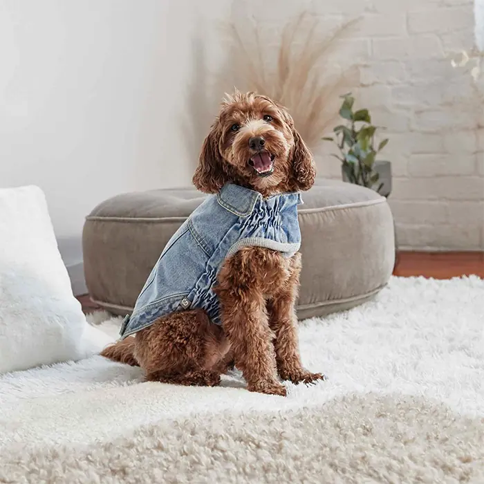 GF Pet 90lar Kot Köpek Montu