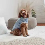 GF Pet 90lar Kot Köpek Montu 7