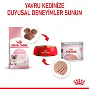 Royal Canin Mother and Babycat Kedi Konservesi 195 gr 5