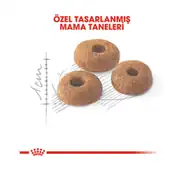 Royal Canin Fit 32 Yetişkin Kedi Maması 15 Kg 2