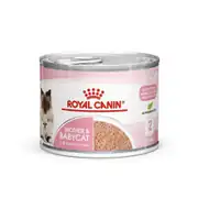 Royal Canin Mother and Babycat Kedi Konservesi 195 gr 1