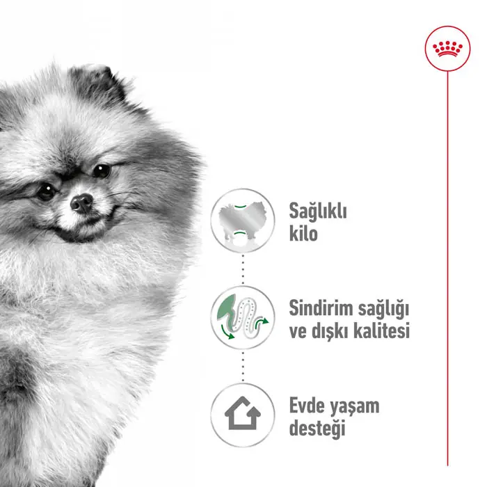 Royal Canin Mini Indoor Adult Yetişkin Köpek Maması 1,5 Kg