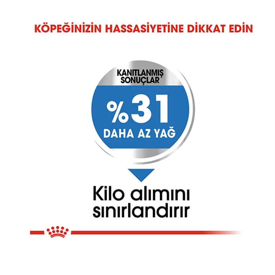 Royal Canin Ccn Mini Light Weightcare Yetişkin Köpek Maması 3 Kg