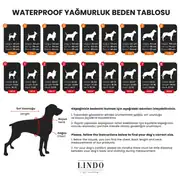 Lindo Blue Star İçi Polarlı Su Geçirmez Köpek Yağmurluğu 4